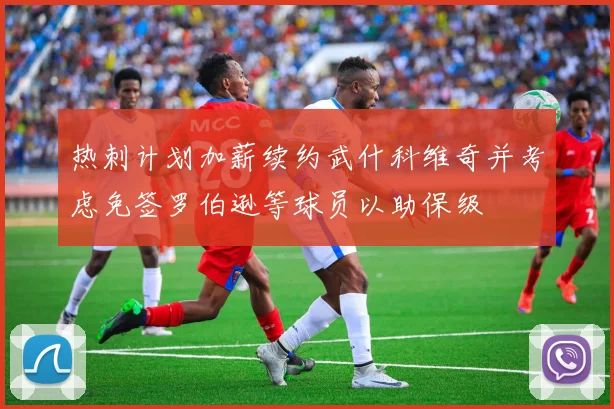 热刺计划加薪续约武什科维奇并考虑免签罗伯逊等球员以助保级