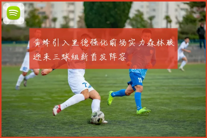 黄蜂引入里德强化前场实力森林狼迎来三球组新首发阵容